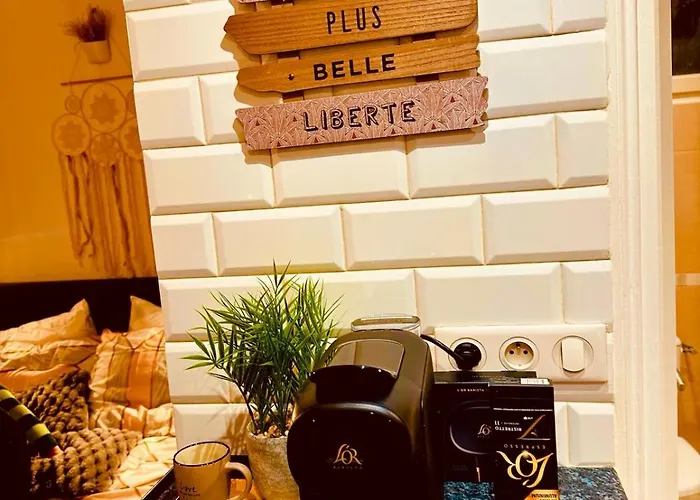 Appartement élégant à Conflant *